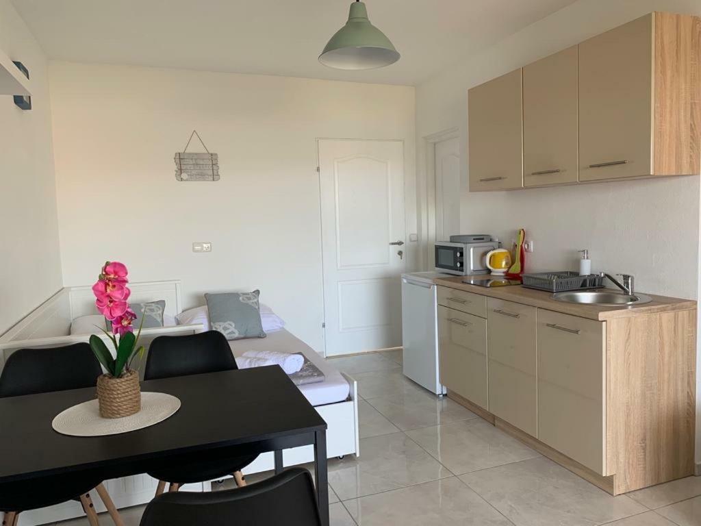 Appartement Nelany à Zubovići Extérieur photo